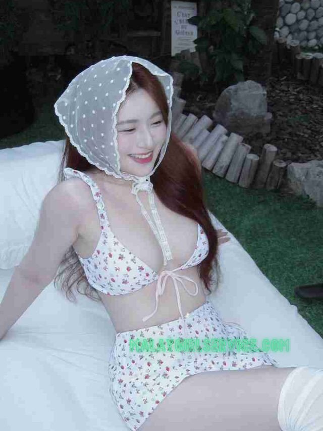 Web Story 4511